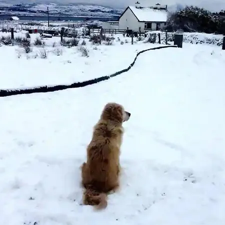 Privatunterkunft Lomonagh Portmagee Lateeve