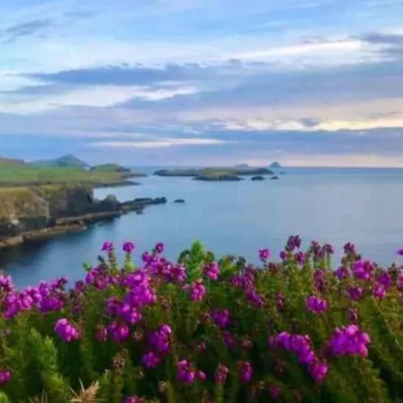 Lomonagh Portmagee Lateeve