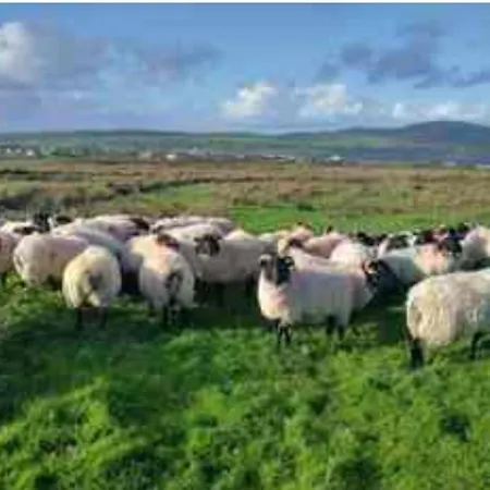 Lomonagh Portmagee Lateeve