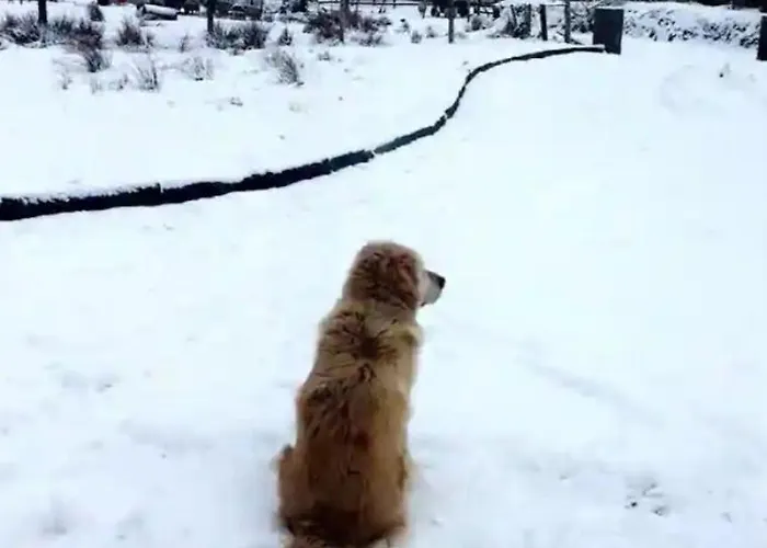 Accommodatie bij particulieren Lomonagh Portmagee Lateeve