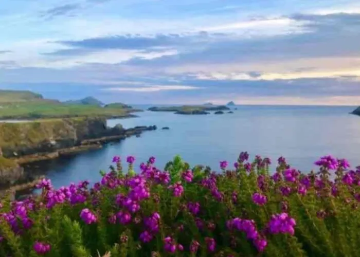 Lomonagh Portmagee Lateeve