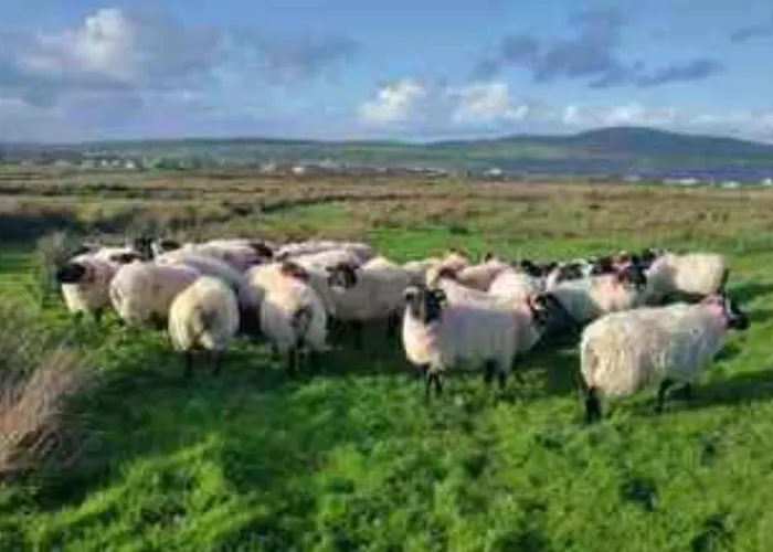 Lomonagh Portmagee Lateeve